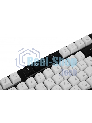 Клавиатура проводная Defender Dark Knight R GK-077, USB, черный/белый