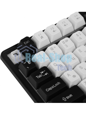 Клавиатура проводная Defender Dark Knight R GK-077, USB, черный/белый