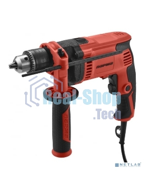 Дрель Парма ДЭ-01-13/800РУ 02.025.00003