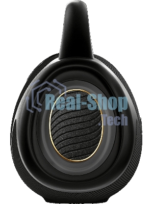 Портативная колонка Hisense VoyageBOOM черный 136W 4.1 BT/3.5Jack/USB