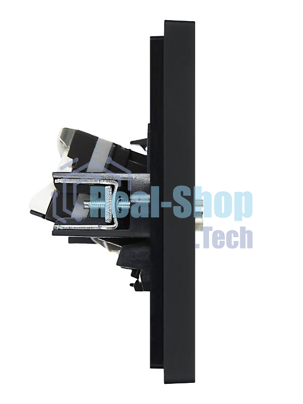 Розетка двойная TV+RJ45 кат.5E IEK FORTE&PIANO FP136 черный