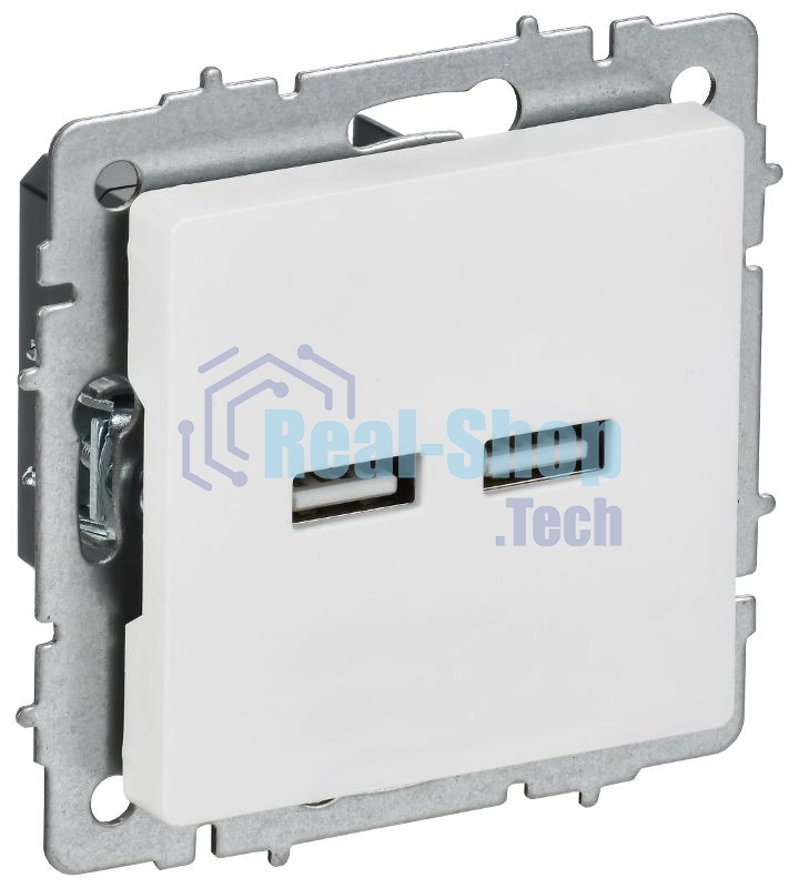 Розетка IEK BR-U21-D31-K91 BRITE РЮ10-1-БрАБ USB A+A 3.1А механизм арктич. бел.