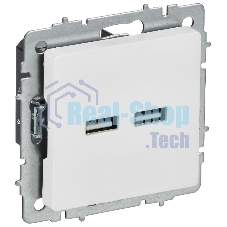 Розетка IEK BR-U21-D31-K91 BRITE РЮ10-1-БрАБ USB A+A 3.1А механизм арктич. бел.