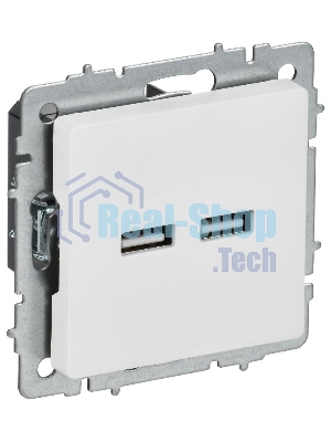 Розетка IEK BR-U21-D31-K91 BRITE РЮ10-1-БрАБ USB A+A 3.1А механизм арктич. бел.