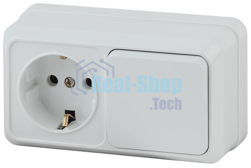 Блок розетка с выключателем Intro Quadro 2-701-01 горизонтальный 10(16)А-250В, IP20, ОУ, белый | Б0053864 | Intro
