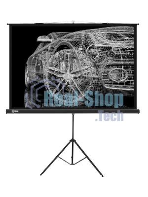 Экран Cactus 124.5x221 см Triscreen CS-PST-124x221 16:9 напольный рулонный черный