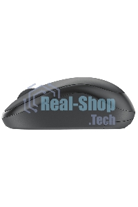 Комплект клавиатура + Мышь Беспроводная Logitech MK295 Silent Wireless Combo