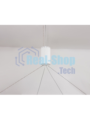 Подвесной светодиодный светильник Ambrella light FL5855 WH белый 40W 3000K/4200K/6400K D800*860 (без ПДУ)