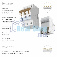 Автоматический выключатель Werkel 3P 25 A C 6 kА W903P256