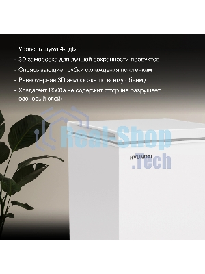 Морозильный ларь Hyundai CH10081 белый, 100 л