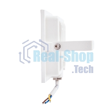 Прожектор Rexant СДО 50 Вт 4000 Лм 5000 K белый корпус