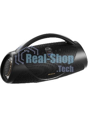 Портативная колонка Hisense VoyageBOOM черный 136W 4.1 BT/3.5Jack/USB