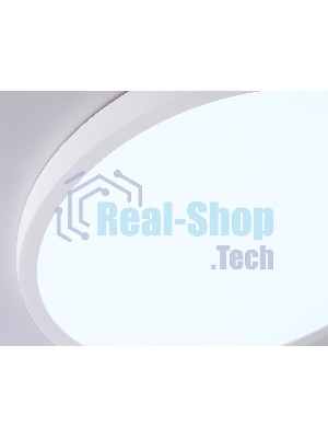 Светильник светодиодный ультратонкий Ambrella light FZ1951 WH белый IP54 20W 5000K D270*15 (Без ПДУ)