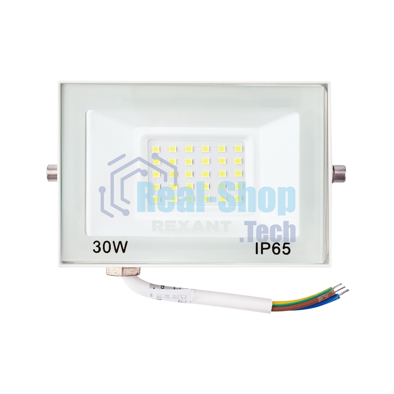 Прожектор Rexant СДО 30 Вт 2400 Лм 5000 K белый корпус