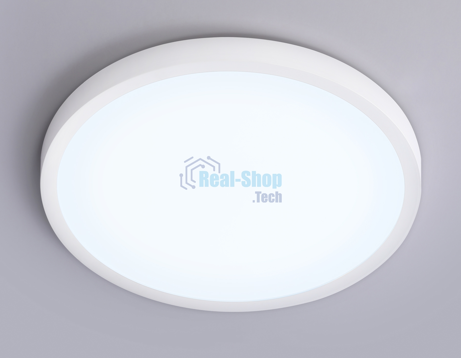 Светильник светодиодный ультратонкий Ambrella light FZ1951 WH белый IP54 20W 5000K D270*15 (Без ПДУ)