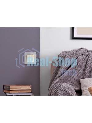 Рамка 1 пост шампань Inspiria