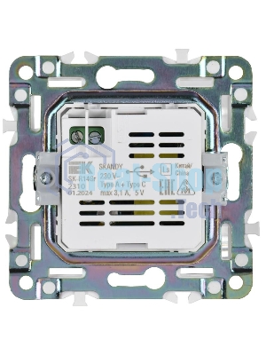 SKANDY Розетка USB A+C 3,1А SK-R14Gr серый  | SK-U22-D31-K03 | IEK