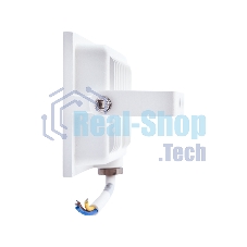 Прожектор Rexant СДО 30 Вт 2400 Лм 5000 K белый корпус