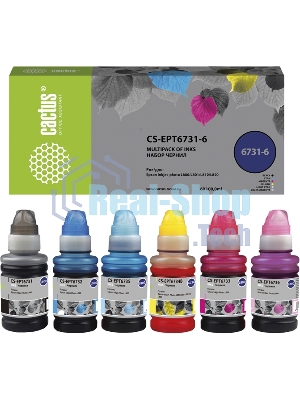 Чернила Cactus CS-EPT6731-6