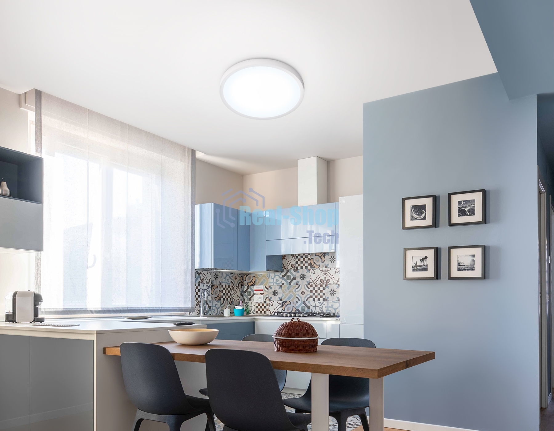 Светильник светодиодный ультратонкий Ambrella light FZ1951 WH белый IP54 20W 5000K D270*15 (Без ПДУ)