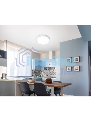Светильник светодиодный ультратонкий Ambrella light FZ1951 WH белый IP54 20W 5000K D270*15 (Без ПДУ)