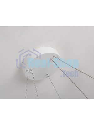 Подвесной светодиодный светильник Ambrella light FL5862/2 WH белый 45W 3000K/4200K/6400K D600/400*830 (без ПДУ)