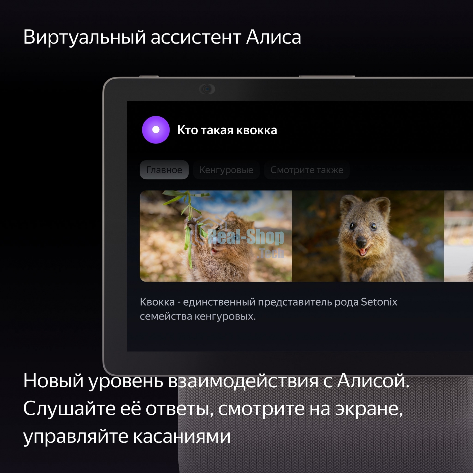 Умная колонка Яндекс Станция Дуо Макс, с дисплеем, Zigbee, 60Вт, с голосовым ассистентом Алиса на YaGPT, бежевый