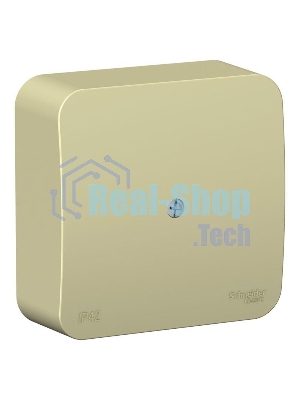 Коробка распределительная ОП BLANCA 16А 250В IP42 беж. SchE BLNRK000017