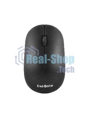 Беспроводная мышь ExeGate Professional Standard M170 (радиоканал 2,4 ГГц, USB, оптическая, 1200dpi, 3D, 3 кнопки (включая колесо прокрутки), черная, RTL)