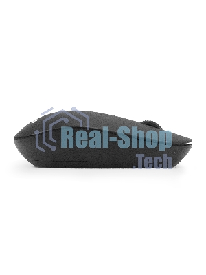 Беспроводная мышь ExeGate Professional Standard M170 (радиоканал 2,4 ГГц, USB, оптическая, 1200dpi, 3D, 3 кнопки (включая колесо прокрутки), черная, RTL)