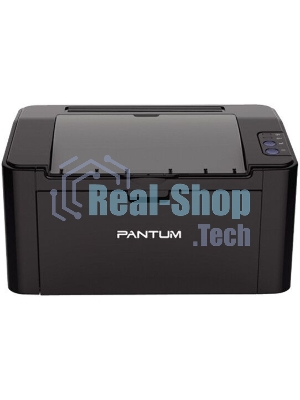 Принтер лазерный PANTUM P2516, A4, ч/б, печ. до 22 стр./мин., 600 x 600 dpi, USB, черный корпус