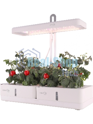 Гидропонная установка Cactus Garden 3л 20Вт белый (CS-LEDPOT-08)