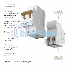 Автоматический выключатель Werkel 2P 50 A C 6 кА W902P506
