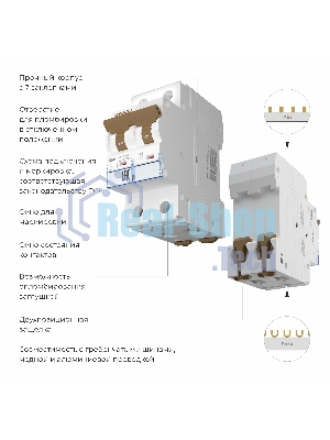 Автоматический выключатель Werkel 2P 50 A C 6 кА W902P506
