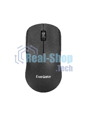 Беспроводная мышь ExeGate Professional Standard M185 (радиоканал 2,4 ГГц, USB, оптическая, 1200dpi, 3D, 3 кнопки (включая колесо прокрутки), черная, RTL)