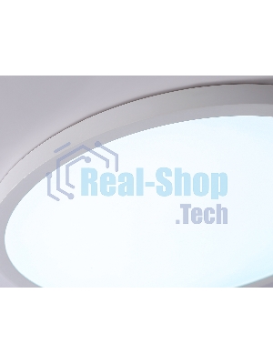 Светильник светодиодный ультратонкий Ambrella light FZ1955 WH белый IP54 26W 5000K D370*15 (Без ПДУ)