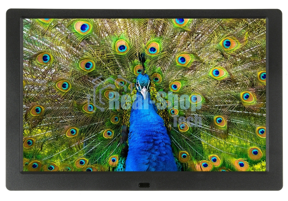 Фоторамка Digma 10.1