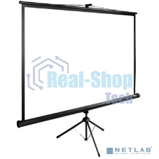 Экран Cactus 180x180 см TriExpert CS-PSTE-180x180-BK 1:1 напольный рулонный