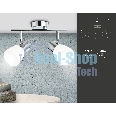Светильник Ambrella light TR3963/2 CH/FR хром/белый матовый E27*2 max 40W 200*105*200