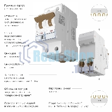 Автоматический выключатель Werkel 2P 32 A C 6 кА W902P326