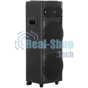 Минисистема AIWA CAS-1001 черный