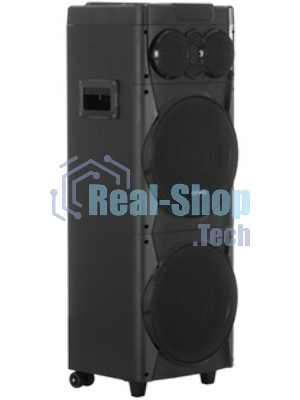 Минисистема AIWA CAS-1001 черный