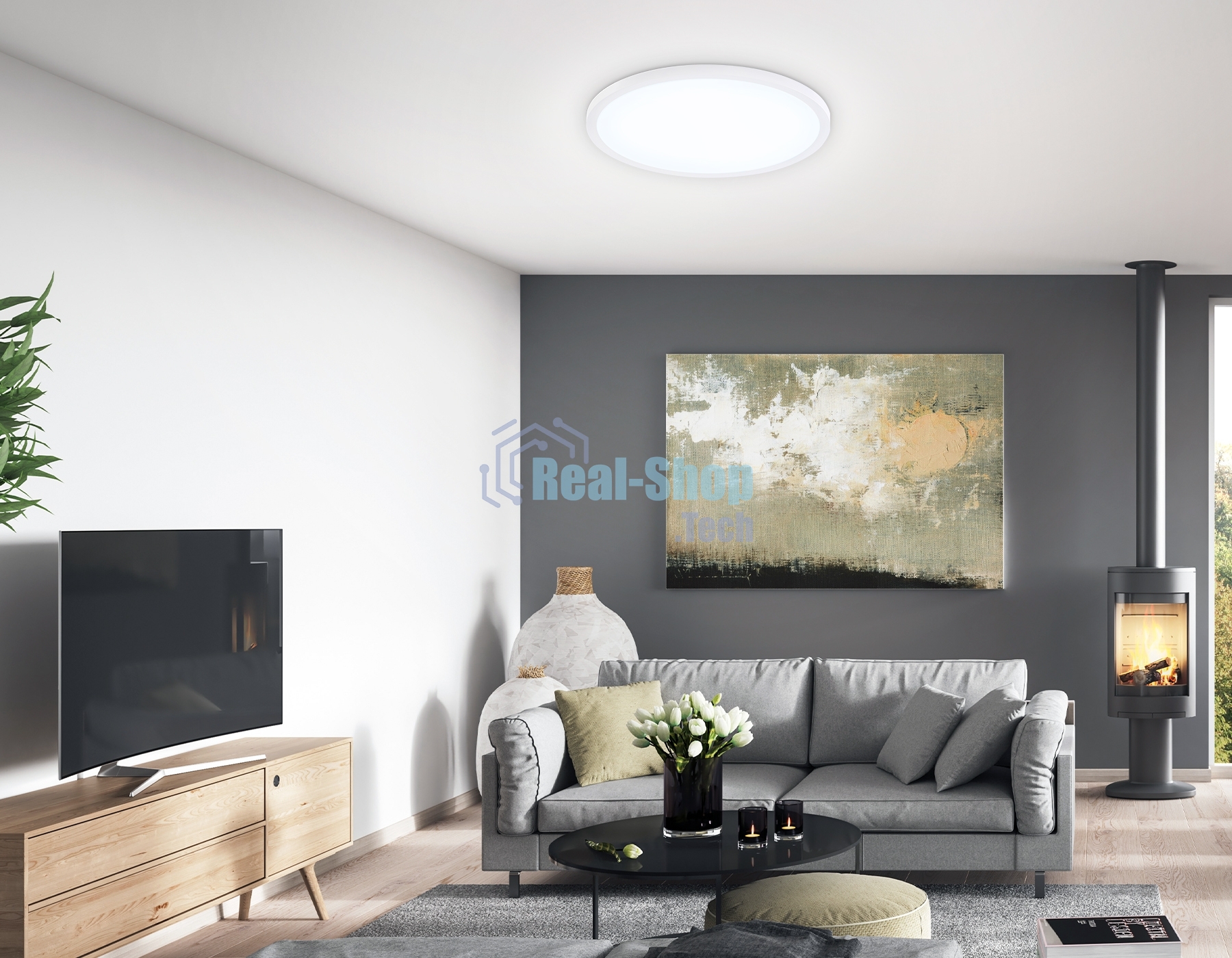 Светильник светодиодный ультратонкий Ambrella light FZ1955 WH белый IP54 26W 5000K D370*15 (Без ПДУ)
