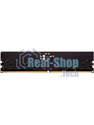 Оперативная память AMD Radeon R5, DDR5, 16GB (1x16GB), 4800MHz, CL40, DIMM