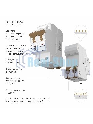 Автоматический выключатель Werkel 2P 25 A C 6 кА W902P256