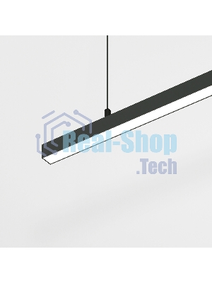 Трековый светильник Slim Magnetic 40W 4000K Milo (чёрный) 85106/01
