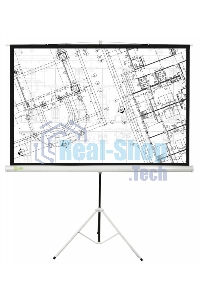 Экран Cactus 127x127см Triscreen CS-PST-127X127 1:1 напольный рулонный белый
