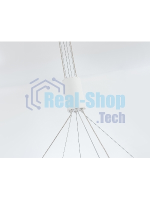 Подвесной светодиодный светильник Ambrella light FL5884/2 WH белый 45W 3000K/4200K/6400K D600/400*1200 (без ПДУ)