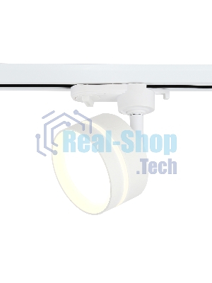 Cветильник трековый GL5384 WH/FR белый/белый матовый GX53 max 12W