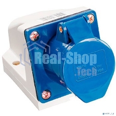 Розетка ОП 16А 220В 2P+PЕ ССИ-113 IP44 ИЭК PSR11-016-3